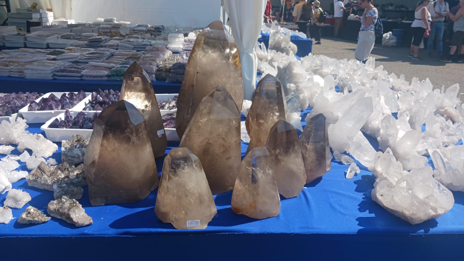 Mineral & Gem 2025: een grote internationale mineralogische tentoonstelling
