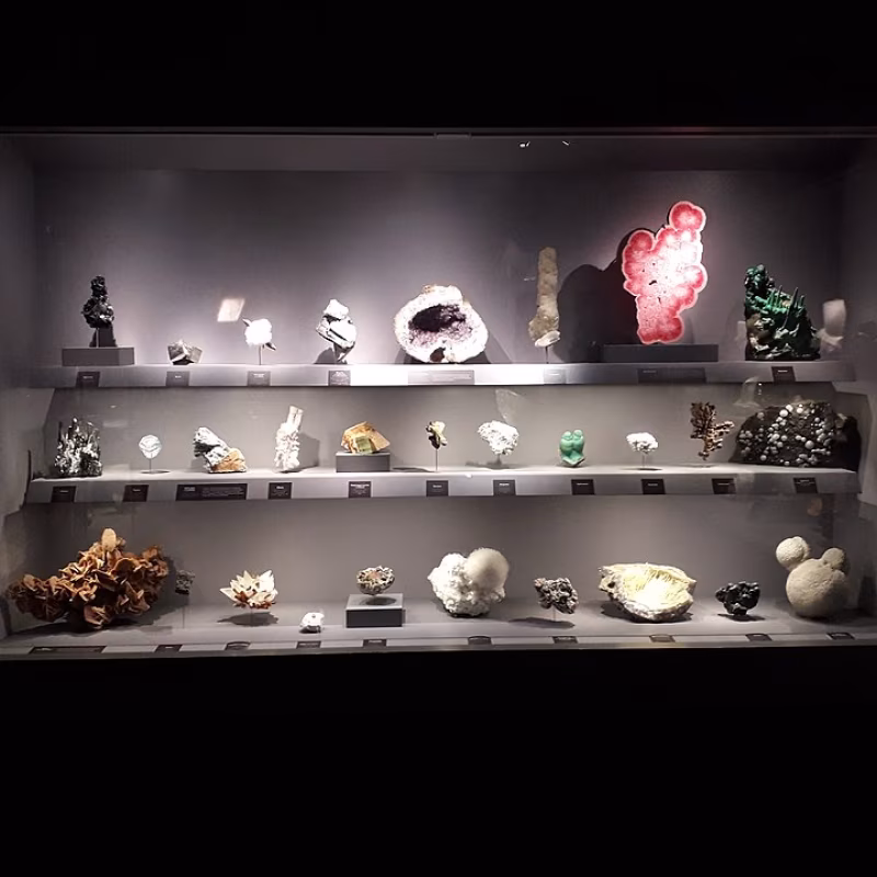 Geologie- en Mineralogiegalerij van de Jardin des Plantes in Parijs Museum national histoire naturelle
