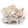 calciet - 0