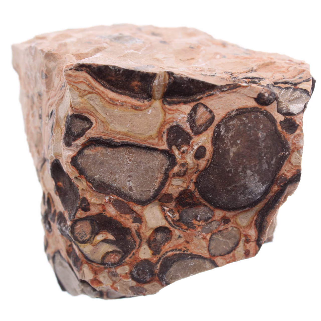 Leopardite