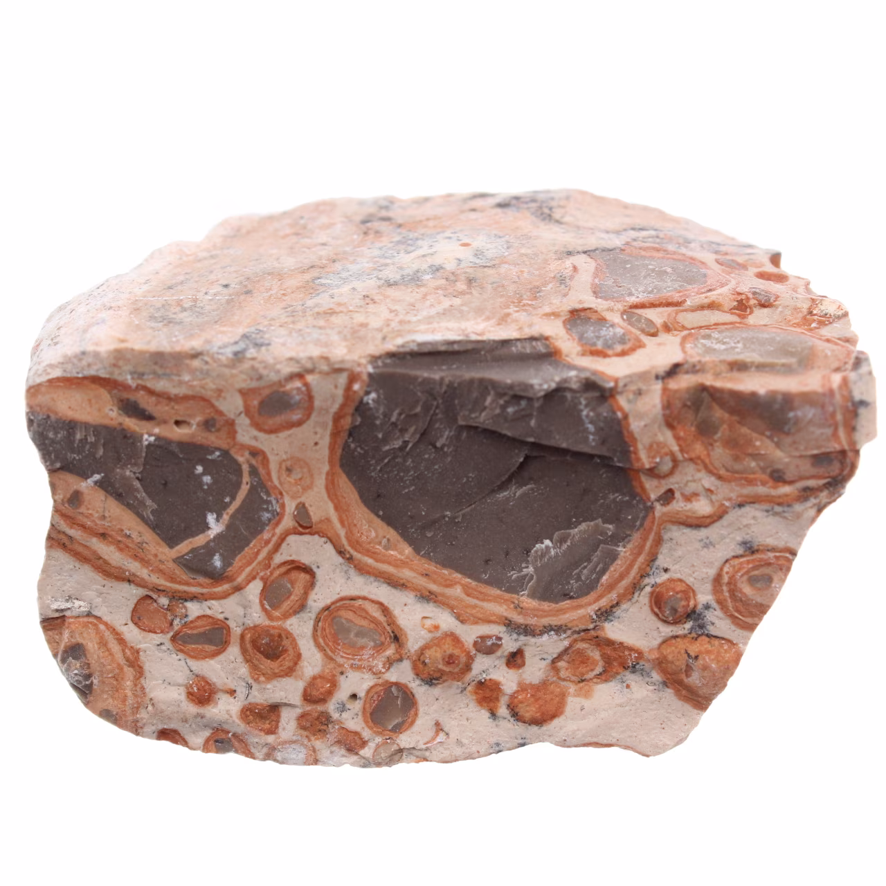 Leopardite