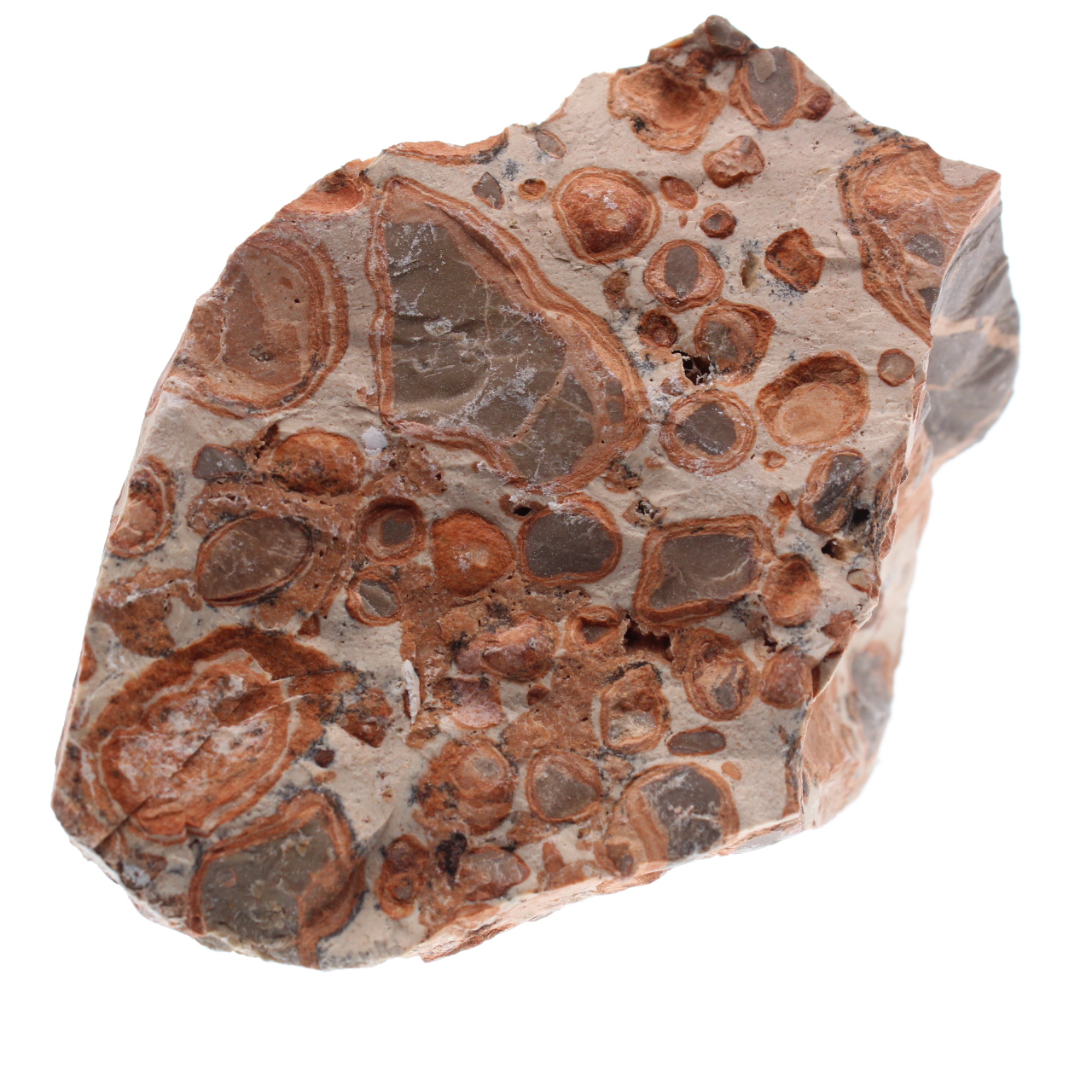 Leopardite