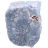 Blauwe angelite - 0