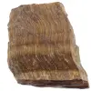 Oog van de tijger - 0