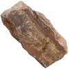 Oog van de tijger - 0