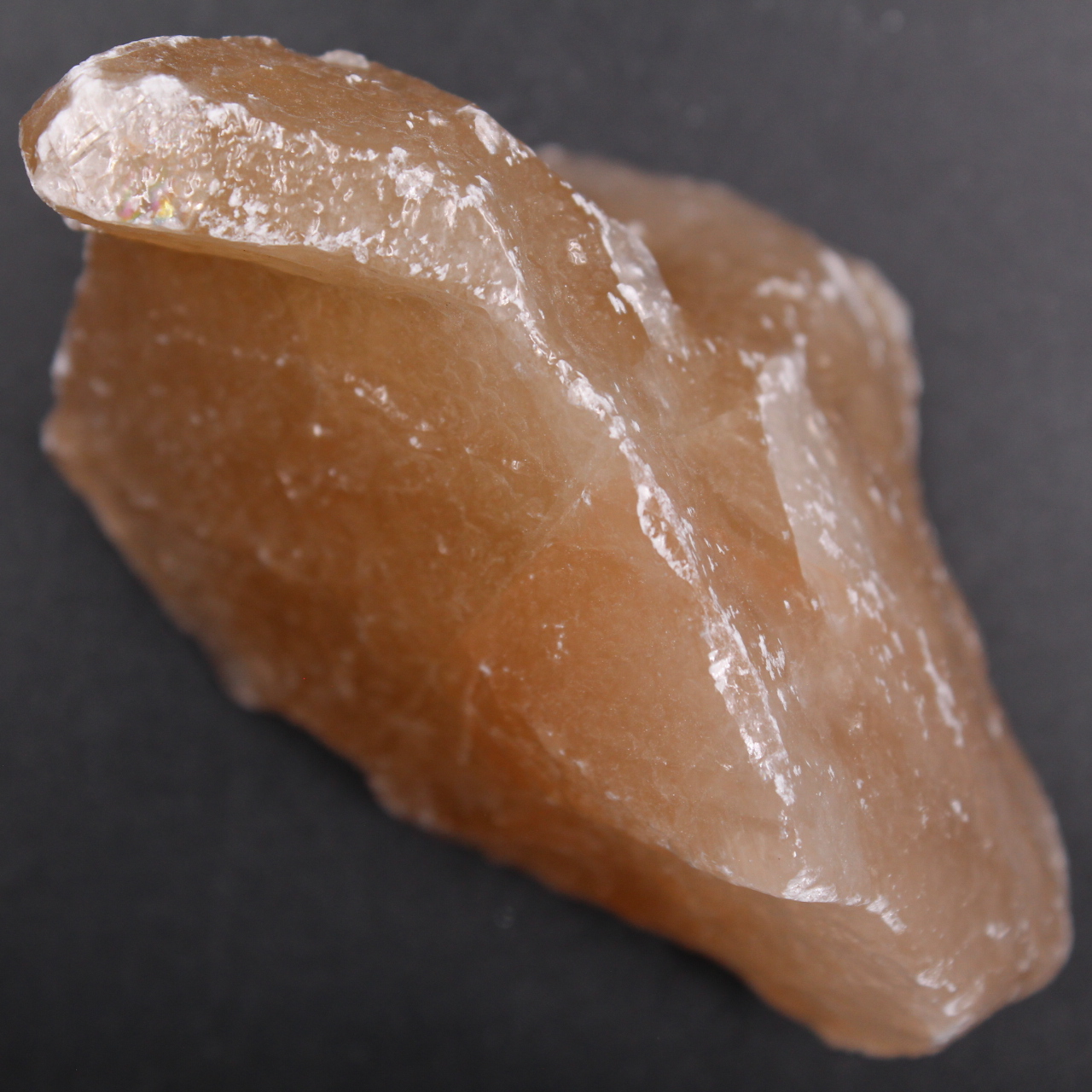 Calciet Beige