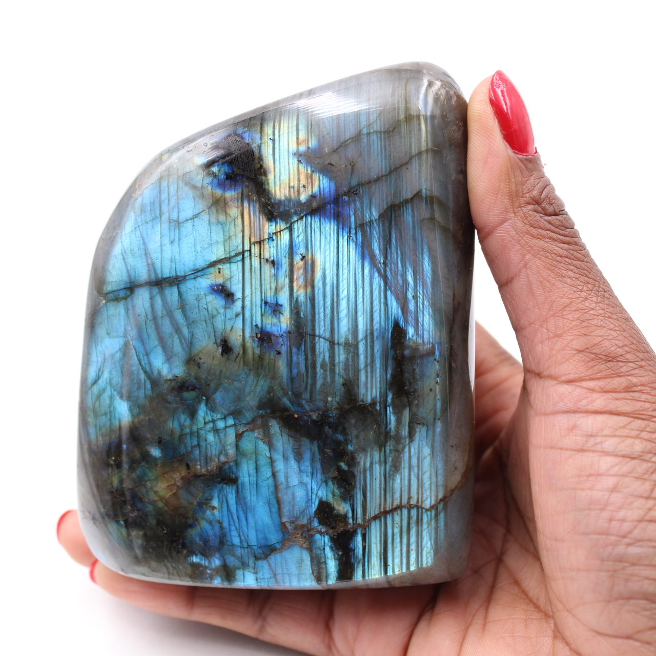 Labradoriet voor verzameling