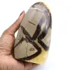 Septaria steen - 0