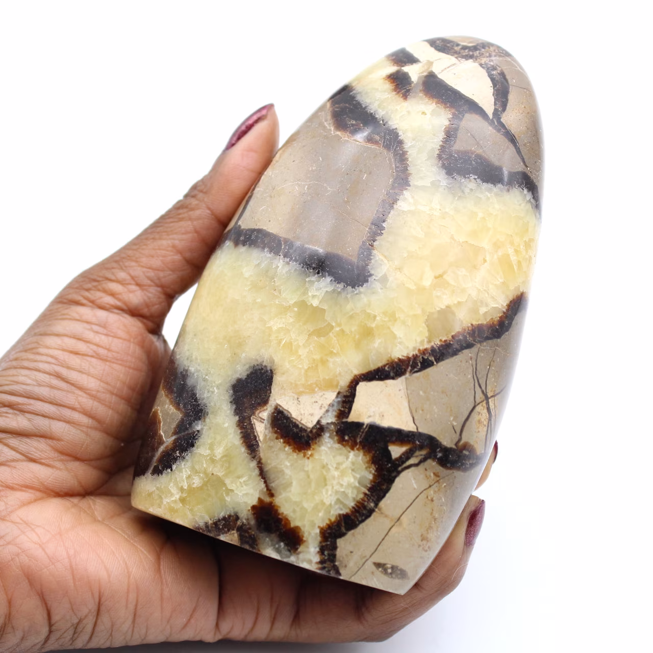 Septaria blok