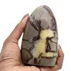 Septaria steen - 0