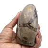 Vrije vorm van septaria - 0