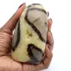 Vrije vorm van septaria - 0