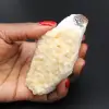 Citrien uit Brazilië - 0