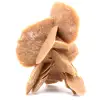 Woestijnroos - 0