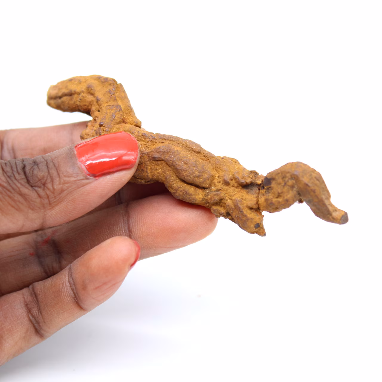 Reptiel coproliet