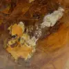 Verzamelbaar natuurlijk geel kwarts - 5