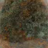 Chrysopraas siersteen uit Madagascar - 5