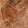 Gepolijste roze microline maansteen uit Madagascar - 5