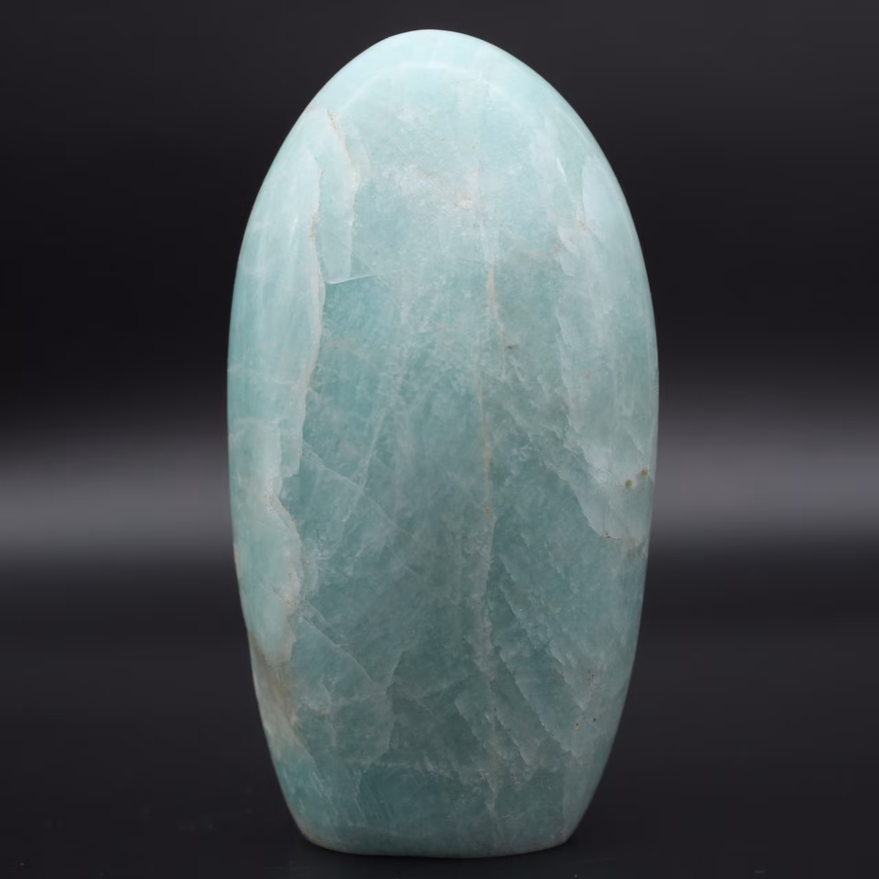 Decoratief Amazoniet