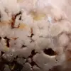 Gepolijste bloemenagaat uit Madagascar - 5