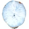 sier blauwe agaat - 0