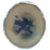 Schijfje blauwe agaat - 0
