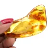 Gepolijste ambersteen - 0