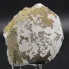 Calciet en pyriet - 1