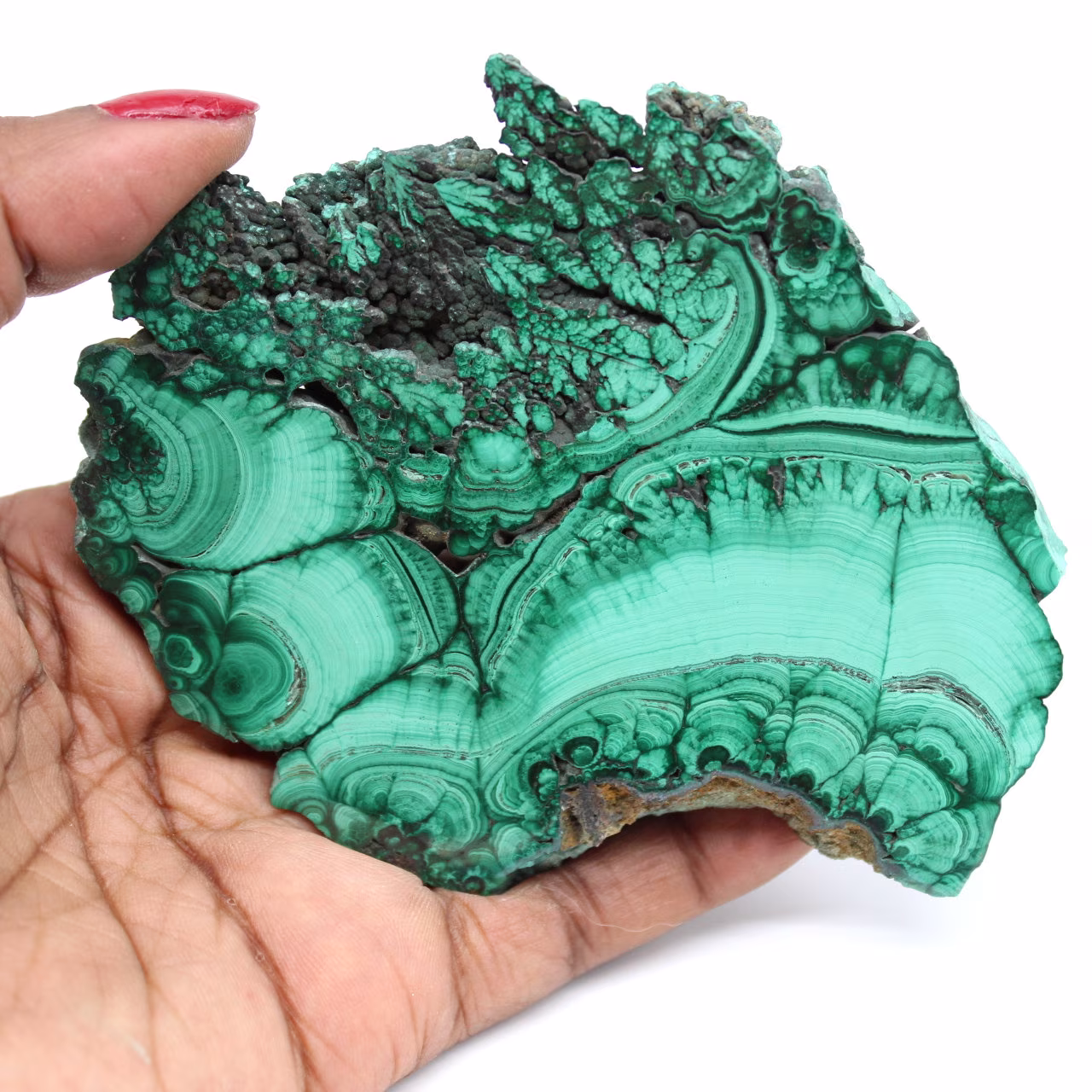 Plaque polie and malachite