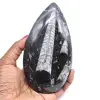 Natuurlijke fossiele orthoceras - 0