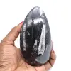 Orthoceras marokko - 0
