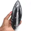 Gepolijste natuurlijke orthoceras - 0