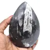 Gefossiliseerde orthoceras - 0