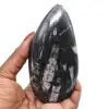 Gepolijst orthoceras fossil - 0