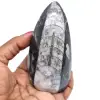 Natuurlijke fossiele orthoceras - 0
