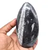 Fossiel van orthoceras uit marokko - 0