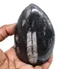 Natuurlijke orthoceras - 0