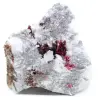 Bruto erythritis - 0