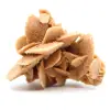 ruwe zandroos - 0