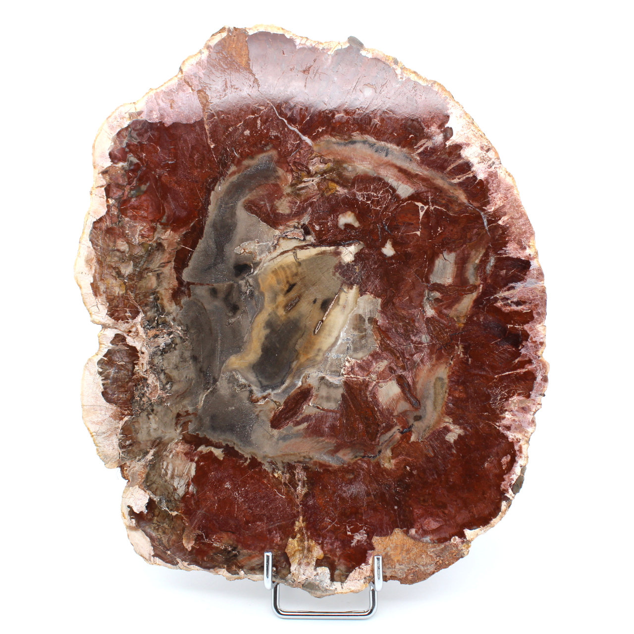 Natuurlijk versteend hout