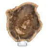 Natuurlijk gefossiliseerd hout - 0