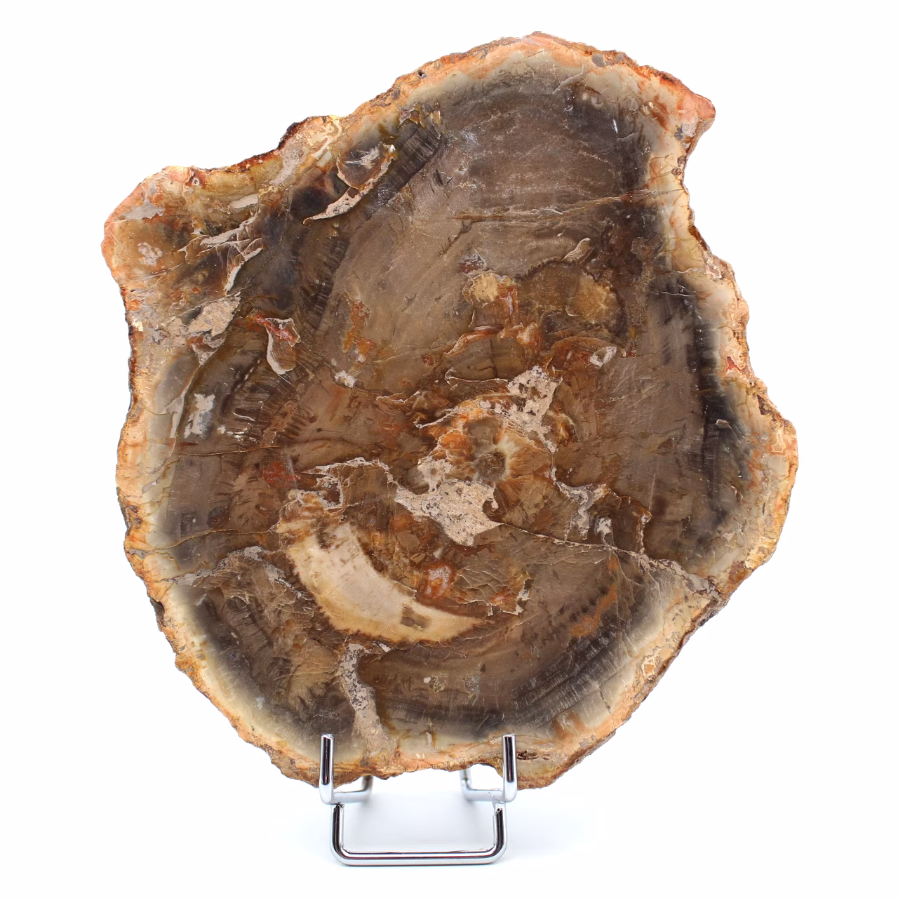 Natuurlijk gefossiliseerd hout