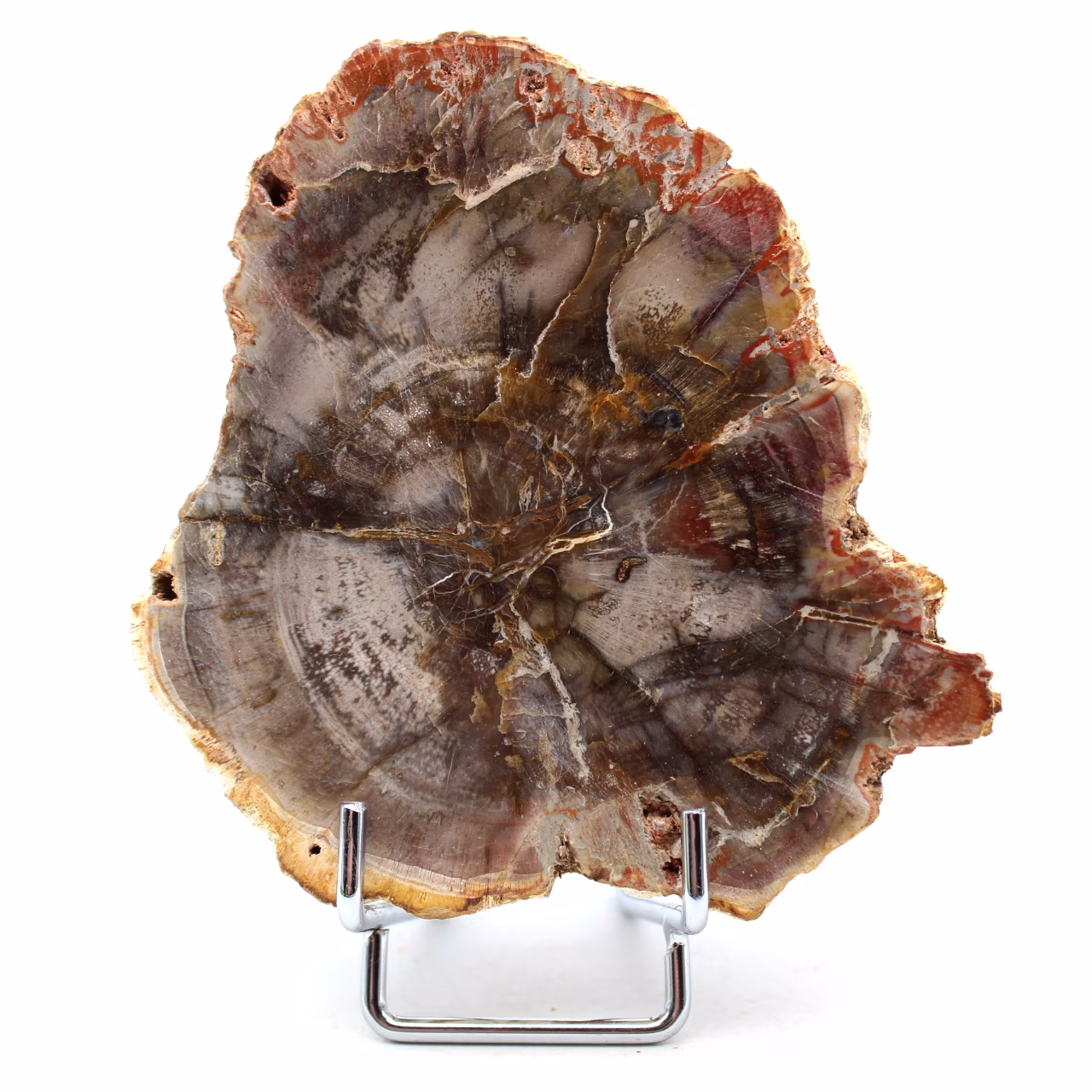 Natuurlijk gefossiliseerd hout