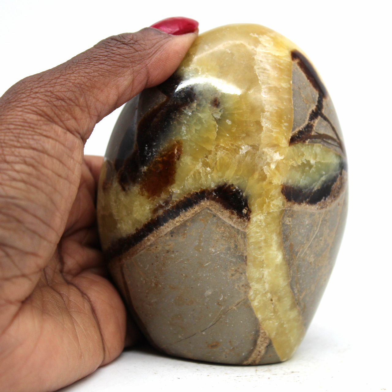 Gepolijst septaria