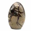 Vrije vorm septaria - 1