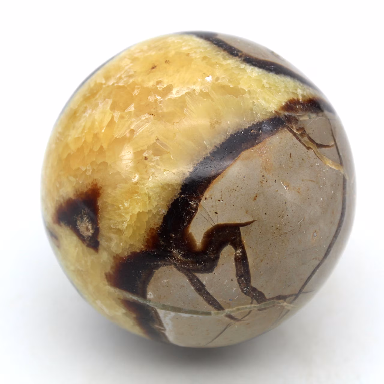 Bol in septaria