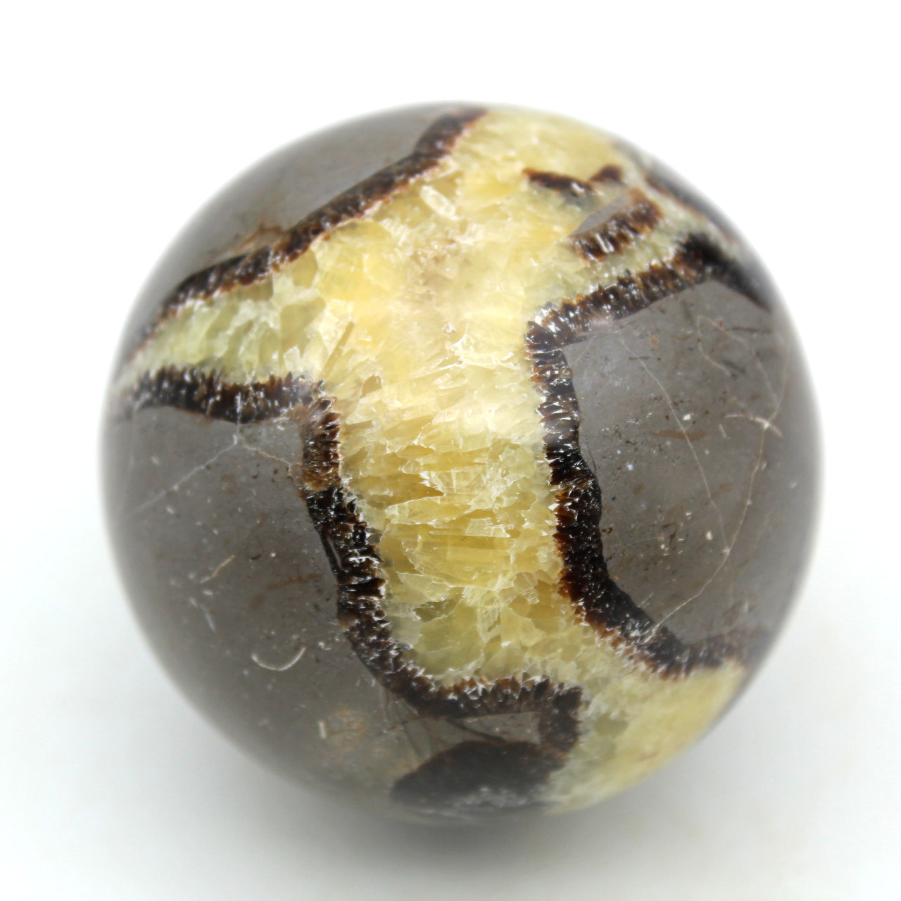Bol in septaria