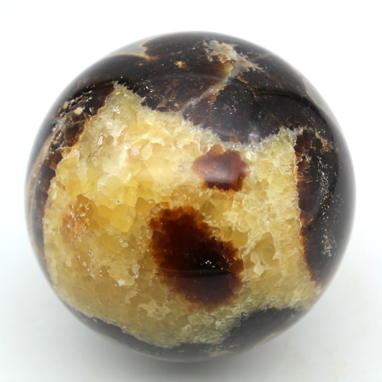 Bol in septaria