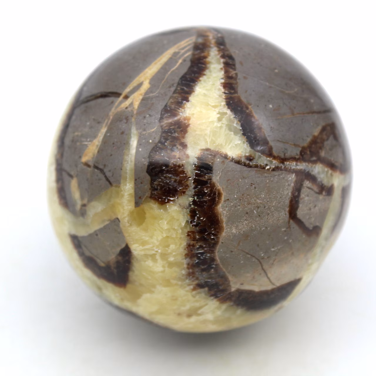Bol in septaria