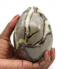 Mineraal ei in septaria - 0